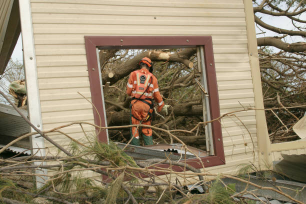 Professional Tree Services in Folsom, NJ